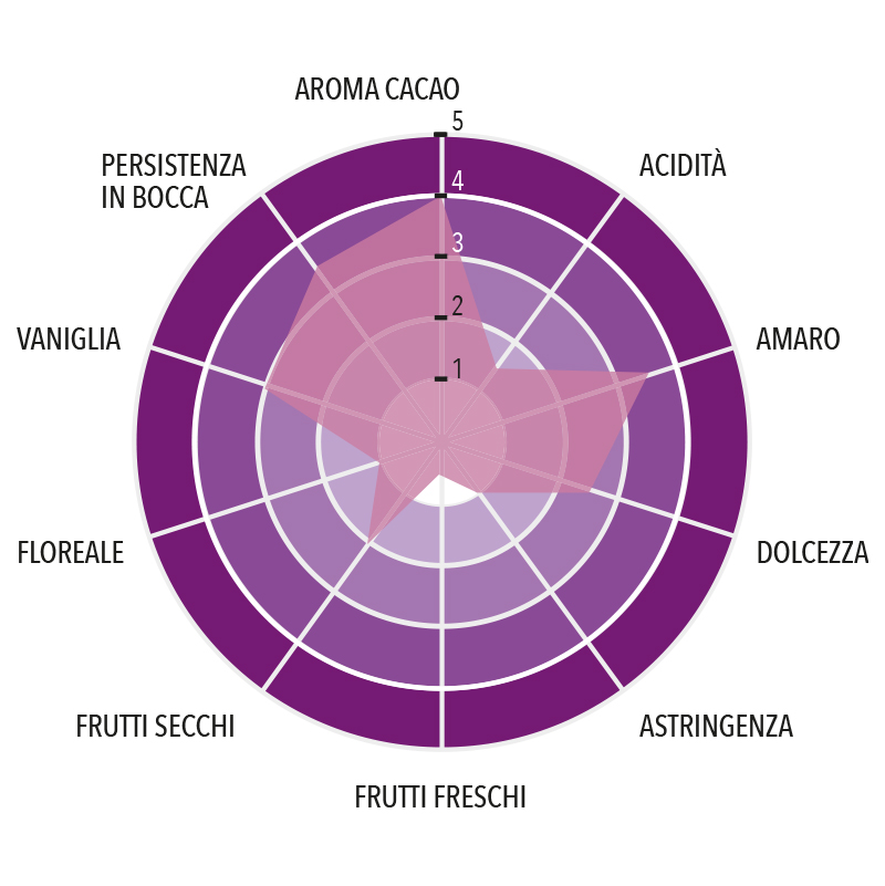 Sur del Lago Dark Chocolate