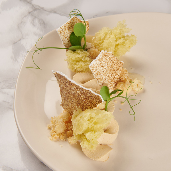 Ispirazioni Gourmet per ogni Stagione